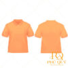 Áo thun quà tặng PQ11