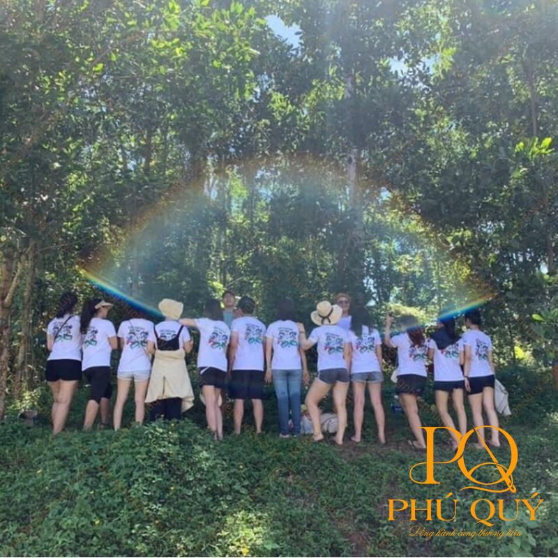 Áo thun team building PQ10